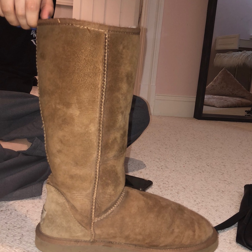 Tall Chestnut Uggs